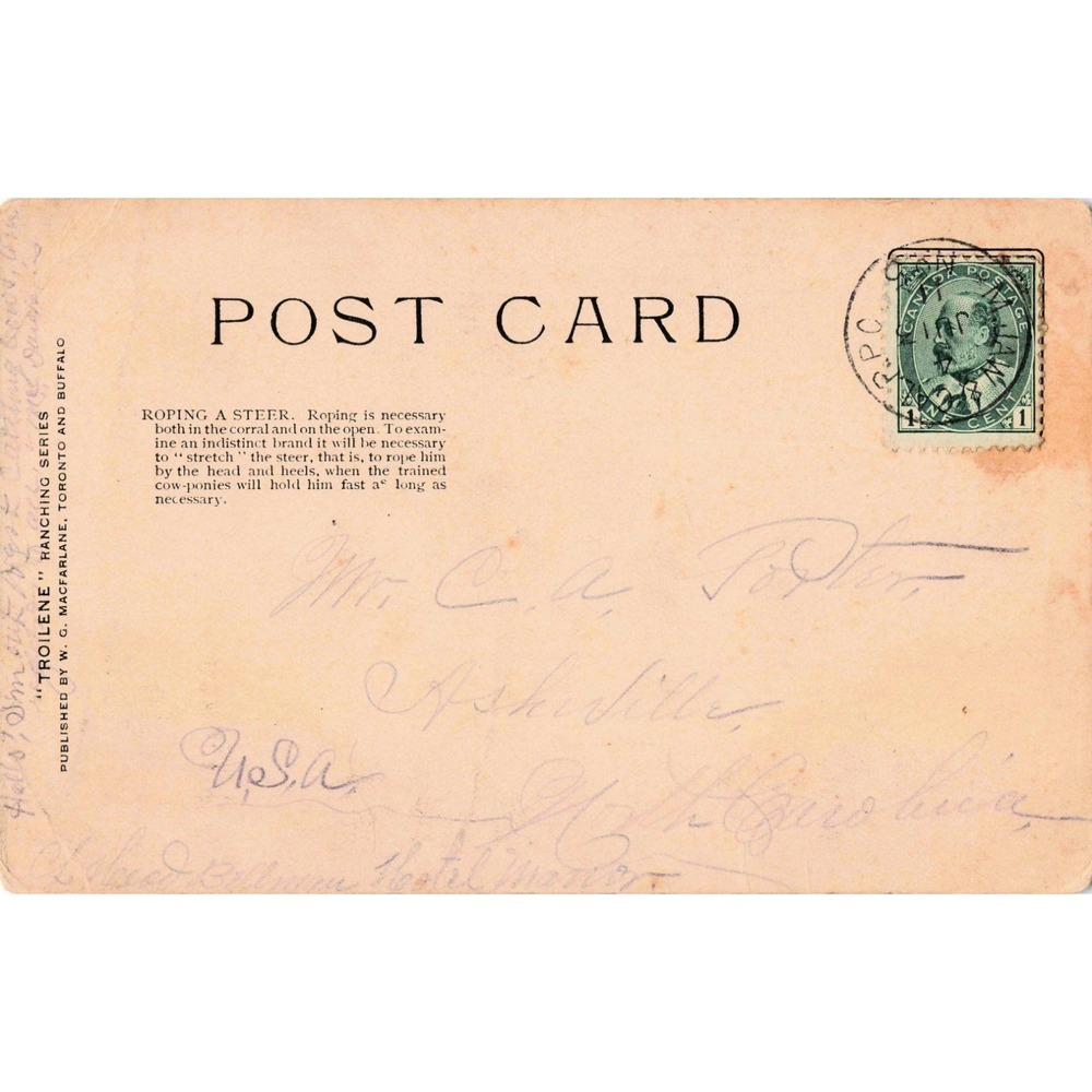 Vintage John Innes Roping a Steer Postcard Troilene Ranching Series 1907 - Picture 2 of 2